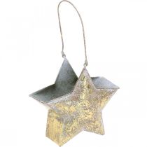 Artikel Dekorativ stjärnmetall för att hänga och dekorera Golden Ø13cm