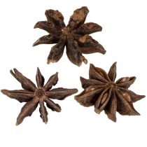 Artikel Stjärnanisdekoration hantverksartiklar naturlig dekoration torkad anis 500g
