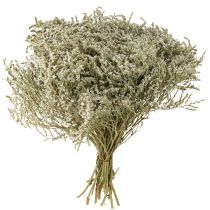 Artikel Havslavendel Statice Tatarica torkade blommor naturliga 2 kg