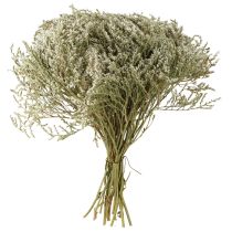 Artikel Torkade blommor strandlavendel Statice 2kg naturlig dekoration