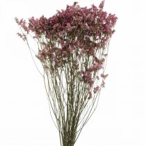 Artikel Statice, havslavendel, torkad blomma, vildblommaknippa Rosa L52cm 23g
