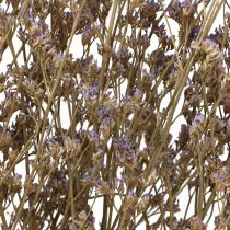 Artikel Beach Lilac Limonium Torkade Blommor Lila 70cm 50g