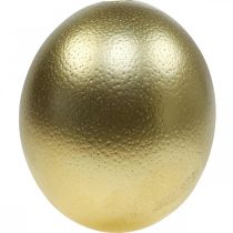 Artikel Strutsäggsdekoration utblåst påskdekoration guld Ø12cm H14cm
