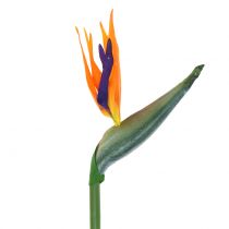 Artikel Strelitzia Bird of Paradise Artificial 98cm