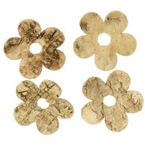 Artikel Scatter dekoration trä bark blommor björk vintage Ø5cm 36 st