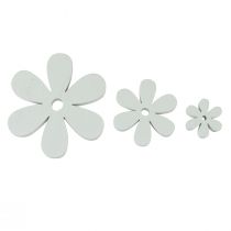 Spridningsdekoration träbordsdekoration vita blommor Ø2cm–6cm 20st