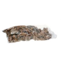 Artikel Strobus koner 15 - 20cm målade 100 st