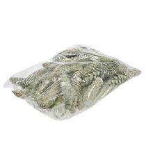 Artikel Strobuskondekoration äppelgrön vitkalkad 15-20cm 50 st