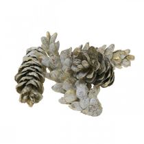 Strobuskottar, jul, adventsdekoration, Weymouth-kottar natur, gyllene L9–14cm 20st