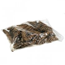 Artikel Kotar Vit tall Strobus Naturlig Blandad 2,5kg