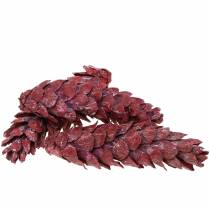 Artikel Strobus koner naturdekor röd 15cm - 20cm 50 st