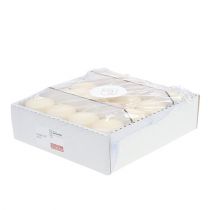 Artikel Pelarljus 70/60 grädde 16 st