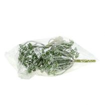 Artikel Suckulent Echeveria 17cm Grå 3 st