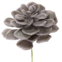 Artikel Konstgjorda suckulenta vaxblommor dekoration 10 cm 6 st