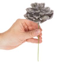 Artikel Konstgjorda suckulenta vaxblommor dekoration 10 cm 6 st
