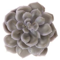 Artikel Konstgjorda suckulenta vaxblommor dekoration 10 cm 6 st