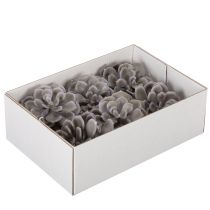 Artikel Konstgjorda suckulenta vaxblommor dekoration 10 cm 6 st