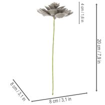 Artikel Konstgjord suckulent vax konstgjord växt med tråd 8cm 8st