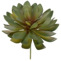 Artikel Konstgjord suckulent som prydnadsväxt, grön, 18 cm, 3 stycken