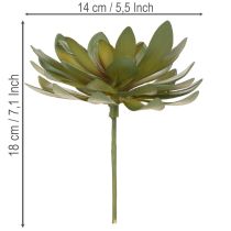Artikel Konstgjord suckulent som prydnadsväxt, grön, 18 cm, 3 stycken
