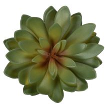 Artikel Konstgjord suckulent som prydnadsväxt, grön, 18 cm, 3 stycken