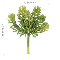 Artikel Konstgjord suckulentblomma för lättskött design av vardagsrum och kontor, 15 cm, 5 stycken