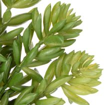 Artikel Konstgjord suckulentblomma för lättskött design av vardagsrum och kontor, 15 cm, 6 stycken