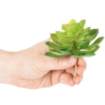 Artikel Konstgjord suckulent, grön, för dekoration i skål eller vas, 10 cm, 4 stycken