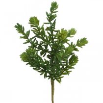 Suckulent konstgjord grön växt att sticka 25cm grön 2st