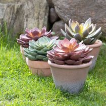 Artikel Suckulentväxt i kruka Echeveria konstgjord röd årgång Ø15cm H16cm