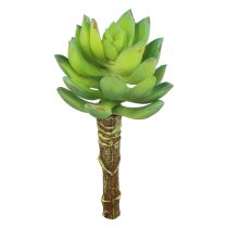 Artikel Suckulent Echeveria Artificiell Grön Växt Grön Ø5,5cm 12,5cm