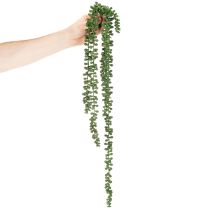 Artikel Konstgjord växthängande girlande suckulent dekoration vardagsrum