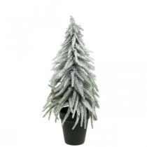 Dekorativ gran med snö, adventsdekoration, gran i kruka H37cm