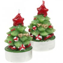 Värmeljus jul värmeljus gran H6,5cm 6st
