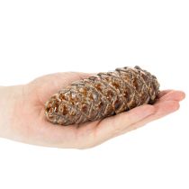 Artikel Keramisk tallkottedekoration, bordsdekoration, höst, 14 cm, 3 stycken