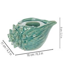 Artikel Värmeljushållare snäckskal dekorativt bordsljus badrum vardagsrum 16cm