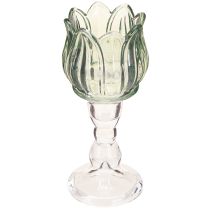 Artikel Värmeljushållare tulpanglas värmeljusglas grön Ø7cm H16cm 2st
