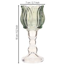 Artikel Värmeljushållare tulpanglas värmeljusglas grön Ø7cm H16cm 2st