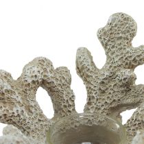 Artikel Värmeljushållare korall dekoration maritim grå Ø12cm H8cm
