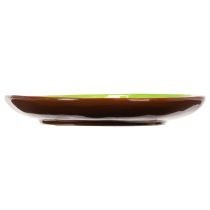 Artikel Runda keramiska tallrikar med kiwimotiv, lämpliga för matbord eller kök, 16 cm, 2 stycken