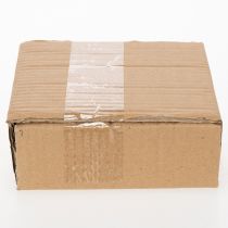 Artikel Runda keramiska tallrikar med kiwimotiv, lämpliga för matbord eller kök, 16 cm, 2 stycken