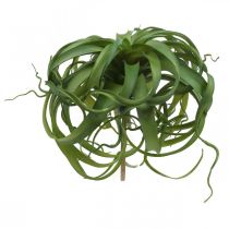 Tillandsia Konstgjord grön växt att sticka Stor Grön Ø40cm