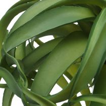 Tillandsia Konstgjord grön växt att sticka Stor Grön Ø40cm