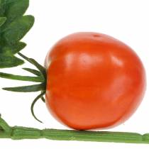 Tomatgren röd 38 cm