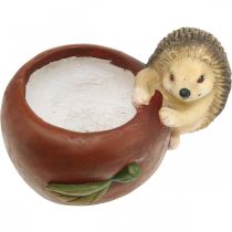 Artikel Planteringskärl, äpple med igelkott, höstdekoration, cachepot, keramik Ø16cm H22cm B33cm