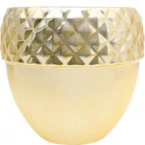 Artikel Keramikplanter ekollon gyllene julpynt Ø18cm H16,5cm