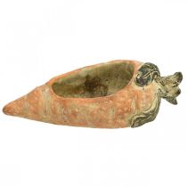 Artikel Dekorativ morot, betongdekor för plantering, påsk, morotskruka, vårdekoration L28cm