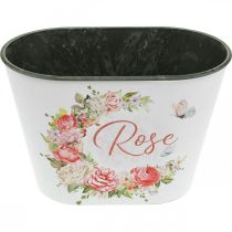 Artikel Planteringskruka, dekorativa krukrosor, blomsterskål L19cm H12,5cm