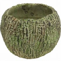 Artikel Kruka i betong i antik utseende grön, brun växtkruka rund Ø15,5cm