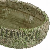 Artikel Planteringskärl betong oval antik look grön, brun 24×14×13cm